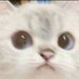 Rice (@ricezuuuu) Twitter profile photo Rice (@ricezuuuu) Twitter profile photo