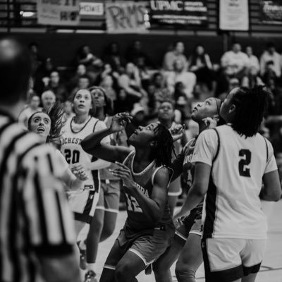 marque_taylorr's profile picture. Rochester HS (2025) #2 🤍💙 | AAU-LADY CAPITALS #7 | G/SF