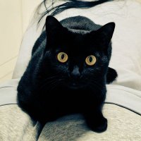 022兔兔夫妻🐰 (@wy2024yy) 's Twitter Profile