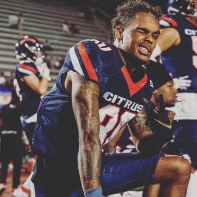 MAURICE HAMPTON Profile