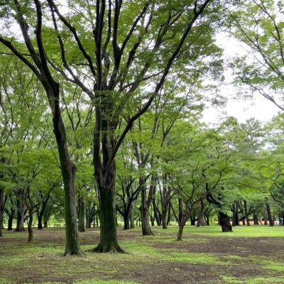 渋谷区在住（通勤には便利なため😐） ・・・・渋谷区脱出検討中🤔