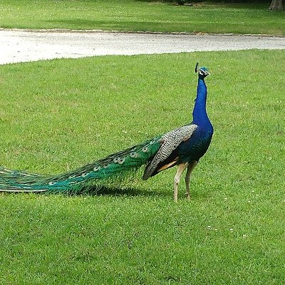 gametimekim's profile picture. 