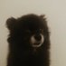 m (@mmm6m9) Twitter profile photo m (@mmm6m9) Twitter profile photo