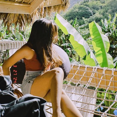 hervysaur's profile picture. is falling down