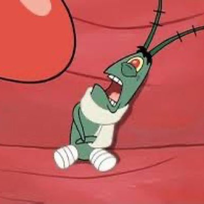 SeldaTarasa844's profile picture. 