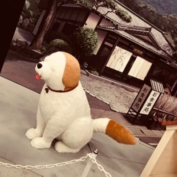 moromoro947's profile picture. 園児ニア🔰｜リモートで海沿いライフ💻🌊 黒い画面と仲良くしたい🐧 珈琲☕とクラフトビール🍺でがんばる 資格勉強も少しずつ