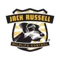 Jack Russell Wildlife Control Profile