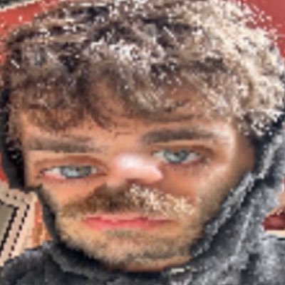 The Bondiola Internet Theory is a conspiracy theory that asserts the Internet now consists mainly of DJ Bondiola and DJ Bondiola generated content.