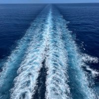 Bud (@felipe_qui16557) 's Twitter Profile