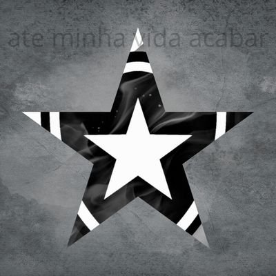 perfil dedicado a postar coisas sobre o @botafogo