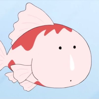 aorforz's profile picture. 