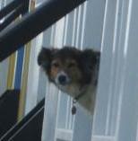 mXwalker18's profile picture. So much music, so little time.