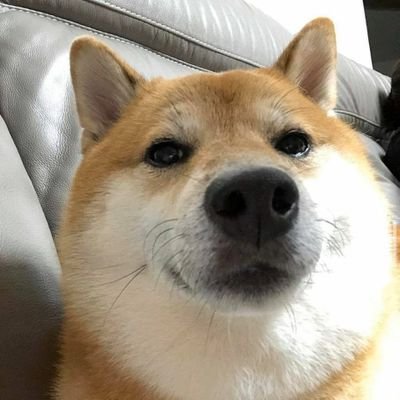 Anguspro64's profile picture. 