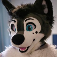 Kodiak Fusky 🏳️‍🌈 (@kodiakfusky) 's Twitter Profile Photo