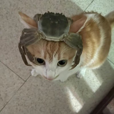 drgerke17's profile picture. 🇵🇸🇺🇦🇦🇲 be good, do good, God bless, and go Bills. #1 Dante defender