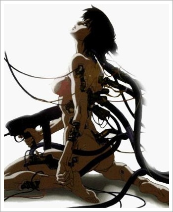 DDM0411's profile picture. 여,야를 막론하고 진정으로 동대문을 생각하고 막말하지 않는 정치인을 후원합니다