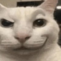 Rainbows (@sir_rainbows) 's Twitter Profile