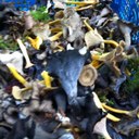 Ben strong - @Benjyyeha - Twitter