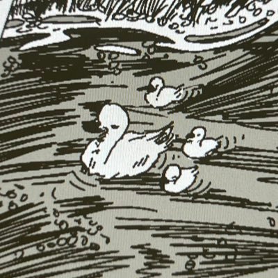 Yisann13's profile picture. 