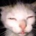 AAHHHH $BUBBLE 🫧🫧🫧🐉 $MON ❤️ $BEYOND 🕹️ $RCADE (@ahhhh_when) Twitter profile photo AAHHHH $BUBBLE 🫧🫧🫧🐉 $MON ❤️ $BEYOND 🕹️ $RCADE (@ahhhh_when) Twitter profile photo