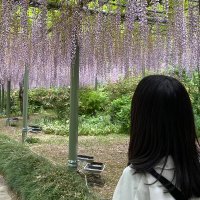 koron (@doramykvv) Twitter profile photo