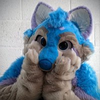 TocsyBoi (@tocsinsocks) 's Twitter Profile