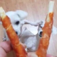 okk¡ (@urmyboo_m) 's Twitter Profile Photo okk¡ (@urmyboo_m) 's Twitter Profile Photo