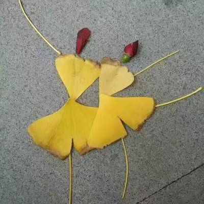 WeiNuan83364's profile picture. 向阳而生，微笑向暖！🌻