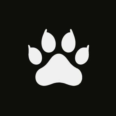 CuteCatsGang's profile picture. 