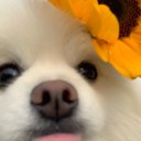 Stacy Vang - @stacy_vang21144 - Twitter