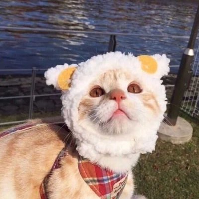 NatashaJoh67559's profile picture. 