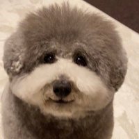 マクシミリアン15世【マク爺】 (@peperoncino_44) 's Twitter Profile Photo