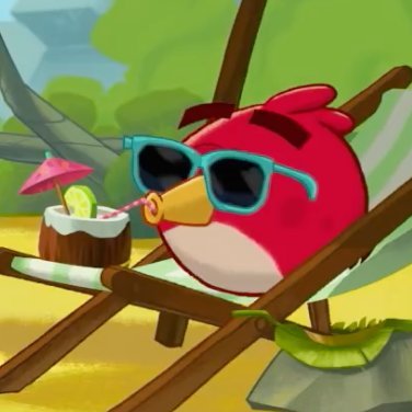 AngryBirds Profile Picture