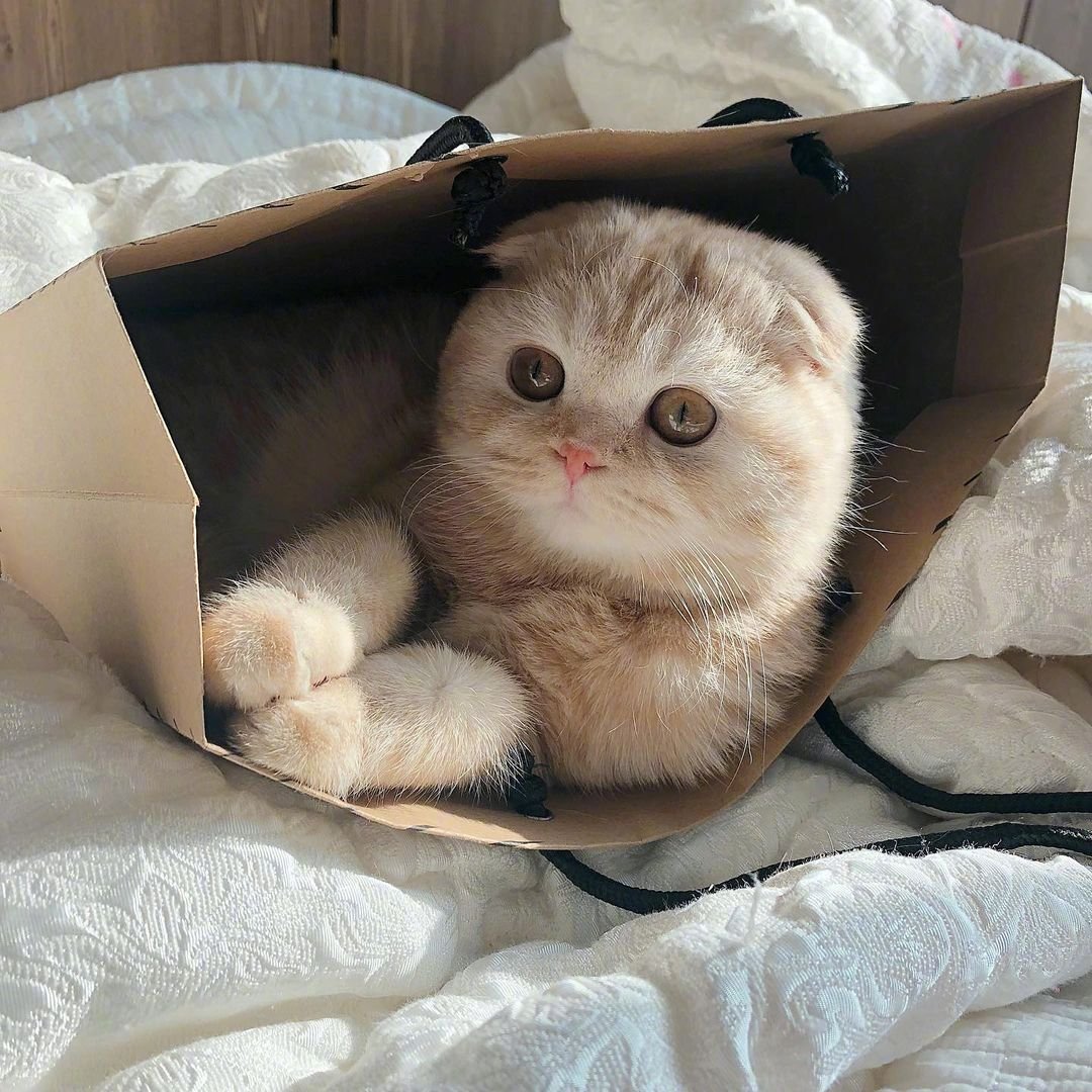 MistyAnder79358's profile picture. 