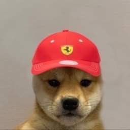 meckyyyy's profile picture. cs