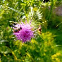 Sue Gordon 🍃💚🍃 (@suegordon8) 's Twitter Profile