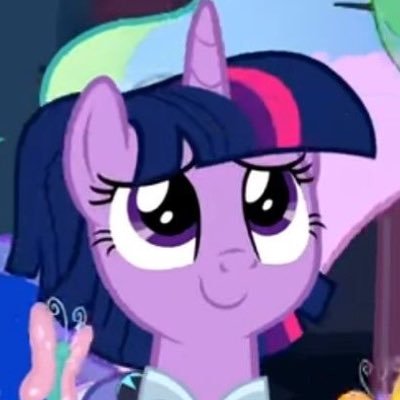 I’m Twilight Sparkle! Princess of Friendship and part-time lawyer. @applz4life 💜