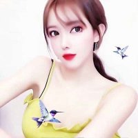 PageRoger (@4y24i8h19hidln) 's Twitter Profile