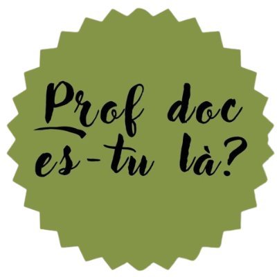 Compte associé au blog - Professeur doc es-tu là ? - administré par @petit_nanne #profsdocs #infodoc #EducMediasInfo #veille