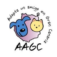 Asociación independiente creada en 2008 con voluntarios que luchan por promover los derechos de los animales. info@adoptaunamigoengrancanaria.org