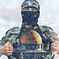 Don't Stop Talking about PALESTINE #FreePalestine (@d34nr) 's Twitter Profile