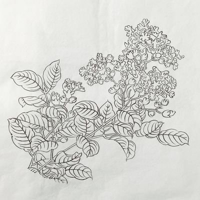 先生不知何许人也,亦不详其姓字,宅边有五柳树,因以为号焉。闲静少言,不慕荣利。好读书,不求甚解;每有会意,便欣然忘食。性嗜酒,家贫不能常得。亲旧知其如此,或置酒而招之;造饮辄尽,期在必醉。既醉而退,曾不吝情去留。
