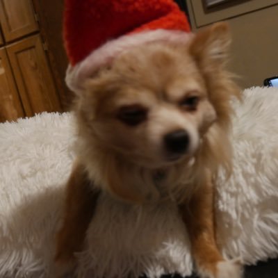 Content Creator & Host of FNF Podcast: Conversations Not Worth Mentioning. Check the links below!