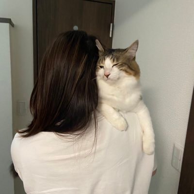 2019.6.9 Noa♂🐈推定６歳.* 2024.6.29 Ao♂🐈‍⬛推定１歳*:ﾟ我が家のアイドル達 我が家の永遠の赤ちゃんｽﾞ♡無言フォローリポスト大歓迎！猫垢さん犬垢さん他動物垢さんのみフォローバックします ✨RPだけの方❌youtube投稿だけの方❌DM一切返信しません❌youtube登録しません❌