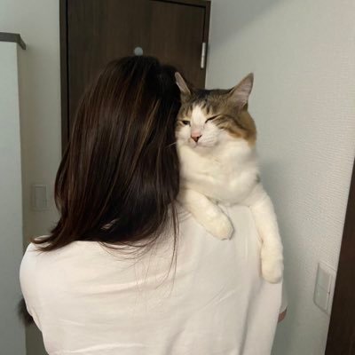 2019.6.9 から家族になりましたNoa🐈推定５歳.*元保護猫 キジシロ半長毛の男の子♡我が家のアイドル 我が家の永遠の赤ちゃん♡無言フォロー、リポスト大歓迎！猫垢さん犬垢さん他動物垢さんのみフォローバックします ✨RPだけの方❌youtube投稿だけの方❌DM一切返信しません❌youtube登録しません❌