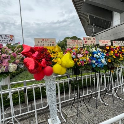 04 🚹 スカイピース古参の推しです！仲良くしてくれると嬉しいです！/ファンクラブ加入済み/0726.横浜参戦予定/1030.大阪参戦予定