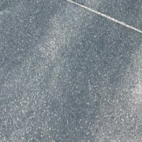 ねこ(はす) (@aiueotipus) 's Twitter Profile