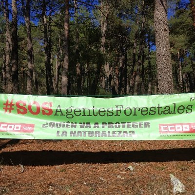 FORESTALES CCOO CM