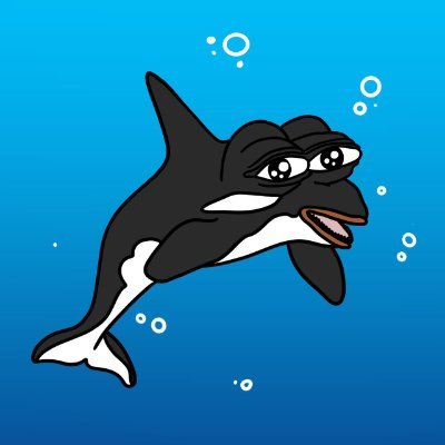 TilyTheWhale's profile picture. Hi, I’m $TILLY! I’m a Killer Whale and King of The Ocean riding the wave to the top of the Solana Ecosystem.