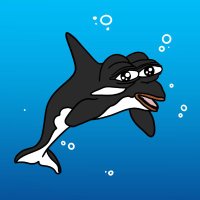 Tilly The Killer Whale(@TilyTheWhale) 's Twitter Profile Photo